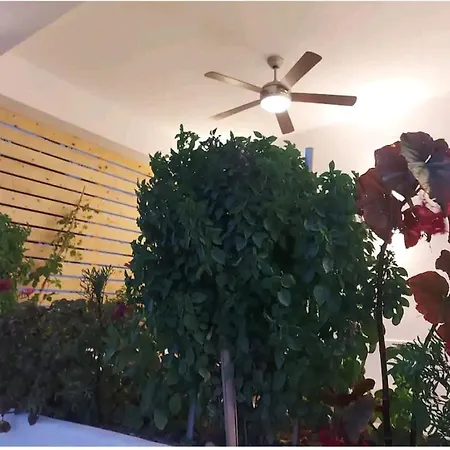 Doriana In Pelekouda